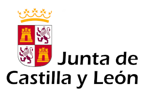 junta castilla y león