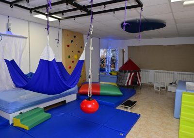 CENTRO MULTISERVICIOS MONTAÑA PALENTINA, DE COCEMFE CASTILLA Y LEÓN