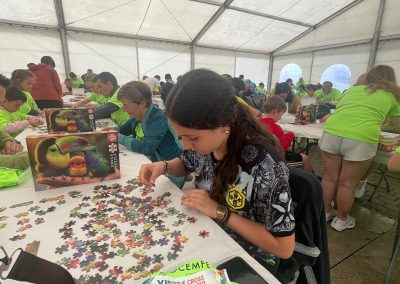 Imagen Puzzle Cross Cocemfecyl 2026
