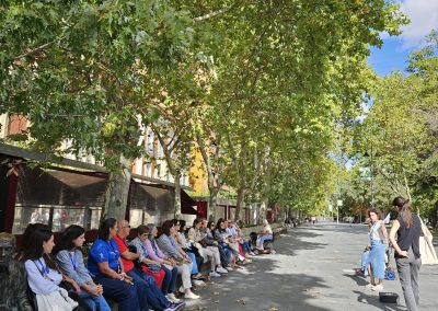 Imagen Congreso Accesibilidad Palencia 2026