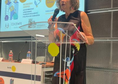 Imagen Congreso Accesibilidad Palencia 2026